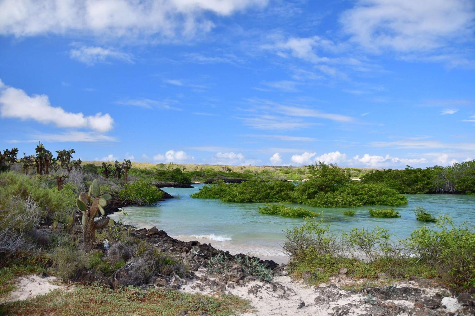 Royal Palm Galapagos, Curio Collection Hotel By Hilton Bellavista  Екстериор снимка