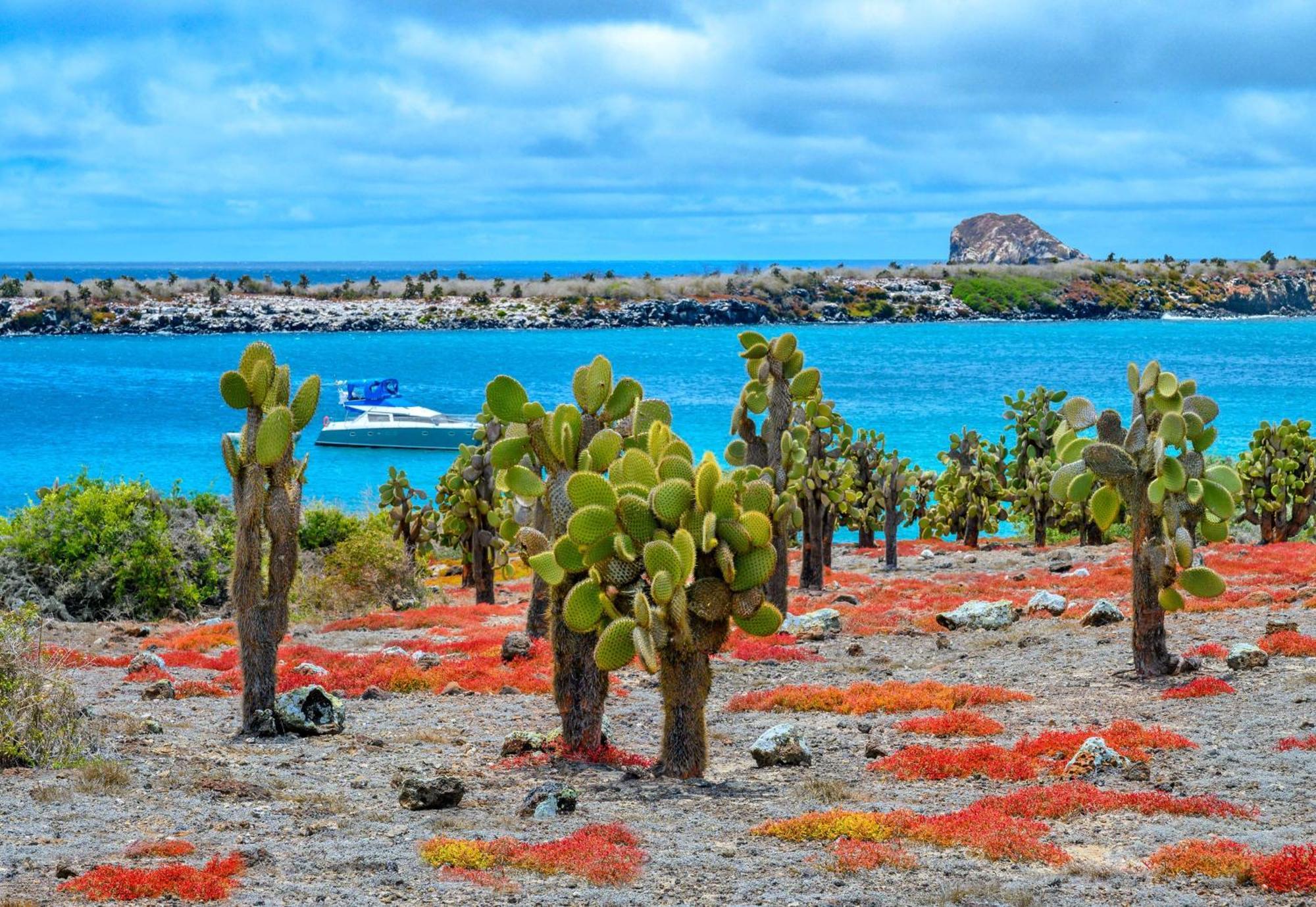 Royal Palm Galapagos, Curio Collection Hotel By Hilton Bellavista  Екстериор снимка